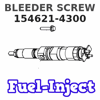 154621-4300 BLEEDER SCREW