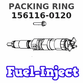 156116-0120 PACKING RING