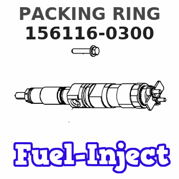156116-0300 PACKING RING
