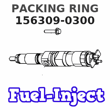156309-0300 PACKING RING