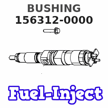 156312-0000 BUSHING