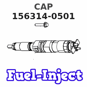 156314-0501 CAP
