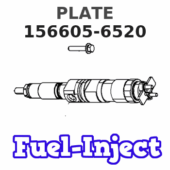 156605-6520 PLATE