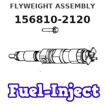 156810-2120 FLYWEIGHT ASSEMBLY