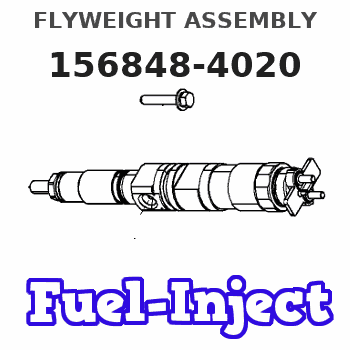 156848-4020 FLYWEIGHT ASSEMBLY