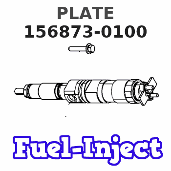 156873-0100 PLATE