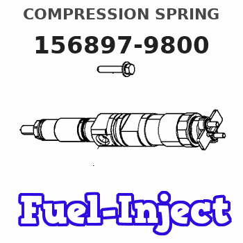 156897-9800 COMPRESSION SPRING