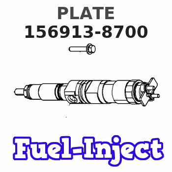 156913-8700 PLATE