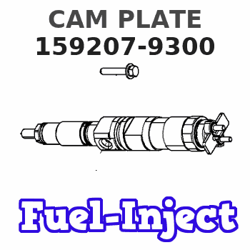 159207-9300 CAM PLATE