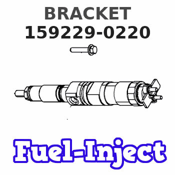 159229-0220 BRACKET