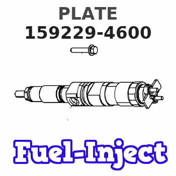 159229-4600 PLATE