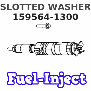 159564-1300 SLOTTED WASHER