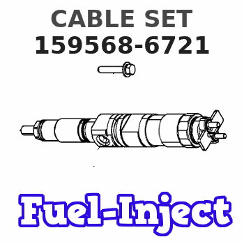 159568-6721 CABLE SET