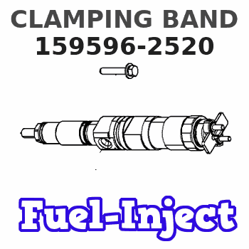 159596-2520 CLAMPING BAND