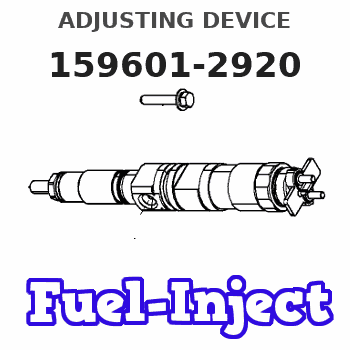 159601-2920 ADJUSTING DEVICE