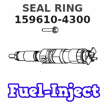 159610-4300 SEAL RING