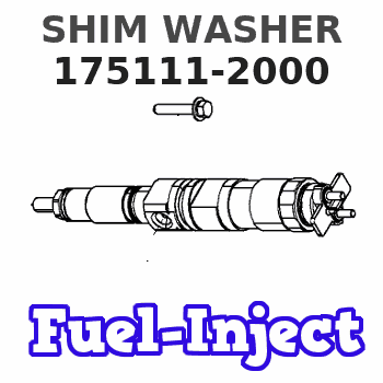 175111-2000 SHIM WASHER