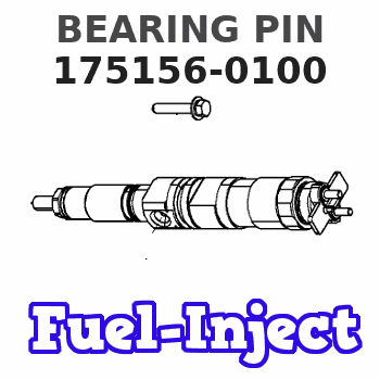 175156-0100 BEARING PIN