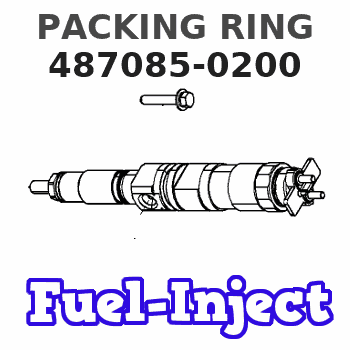 487085-0200 PACKING RING