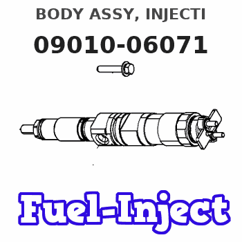 09010-06071 BODY ASSY, INJECTI 
