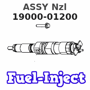 19000-01200 ASSY Nzl Denso Cross