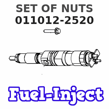 011012-2520 SET OF NUTS 