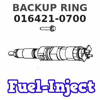 016421-0700 BACKUP RING 