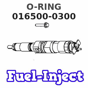 016500-0300 O-RING 