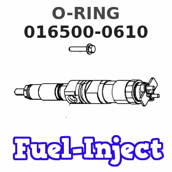 016500-0610 O-RING 