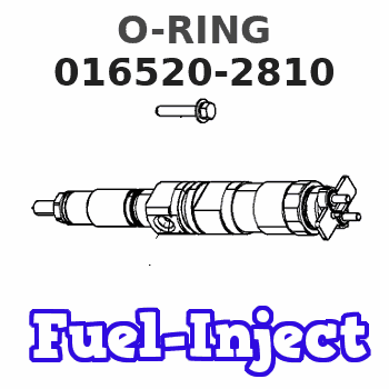 016520-2810 O-RING 