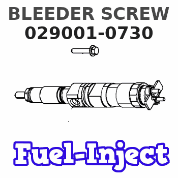 029001-0730 BLEEDER SCREW 