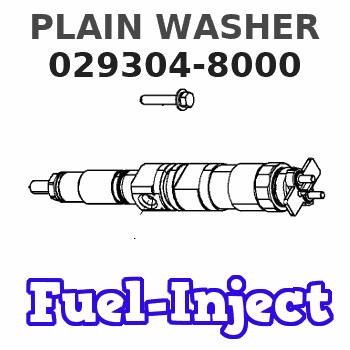 029304-8000 PLAIN WASHER 