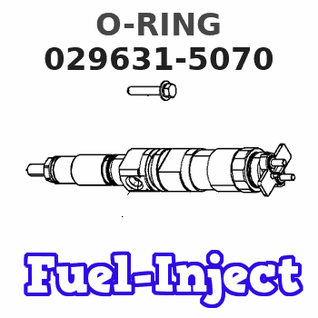 029631-5070 O-RING 