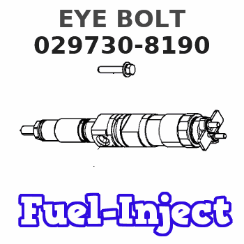 029730-8190 EYE BOLT 