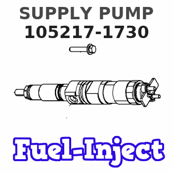 105217-1730 SUPPLY PUMP 