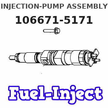 106671-5171 INJECTION-PUMP ASSEMBLY 