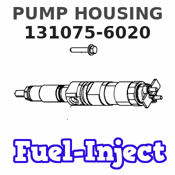 131075-6020 PUMP HOUSING 
