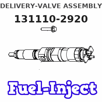 131110-2920 DELIVERY-VALVE ASSEMBLY 