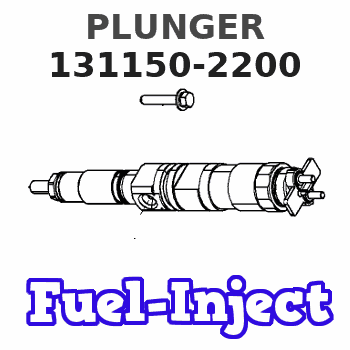 131150-2200 PLUNGER 