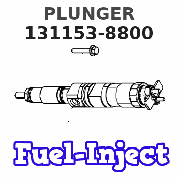 131153-8800 PLUNGER 