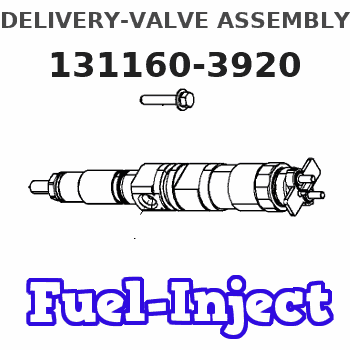 131160-3920 DELIVERY-VALVE ASSEMBLY 