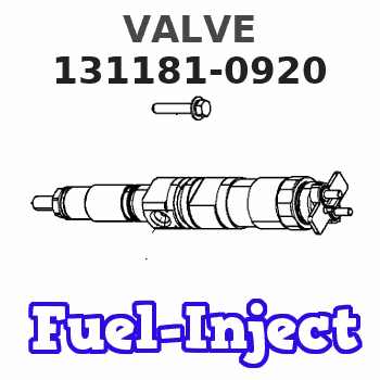 131181-0920 VALVE 