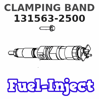 131563-2500 CLAMPING BAND 