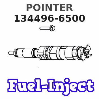134496-6500 POINTER 