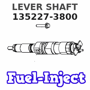 135227-3800 LEVER SHAFT 
