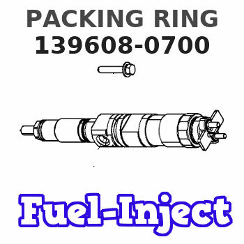 139608-0700 PACKING RING 