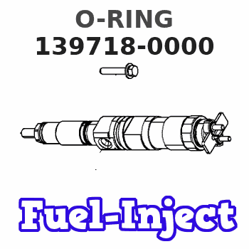 139718-0000 O-RING 