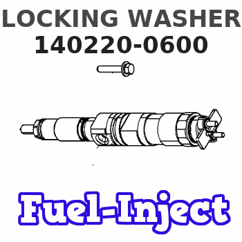 140220-0600 LOCKING WASHER 