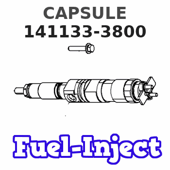 141133-3800 CAPSULE 