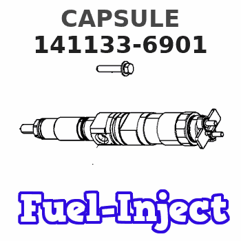 141133-6901 CAPSULE 